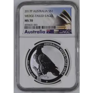 2017P WEDGE-TAILED EAGLE (2)