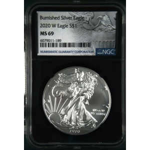 2020 W Burnished Silver Eagle (2)