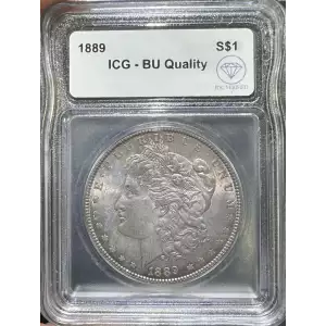 Morgan Silver Dollar (2)