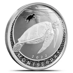 2022 EC8 Montserrat Sea Turtle