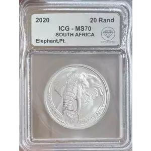 South Africa Big 5 Platinum Elephant