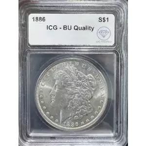 Morgan Silver Dollar (2)