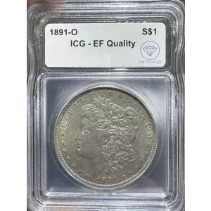Morgan Silver Dollar (2)