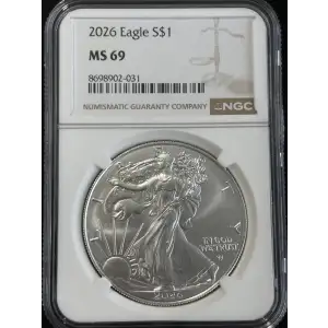Silver Eagle (2)