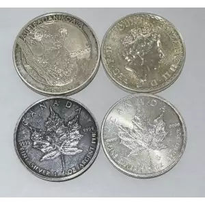 1 oz Foreign Silver Coin Various Mints (Scruffy/CULL)