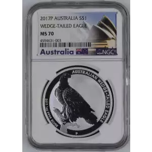 2017P WEDGE-TAILED EAGLE (2)