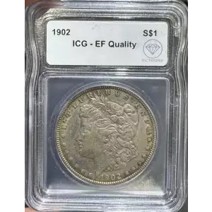Morgan Silver Dollar