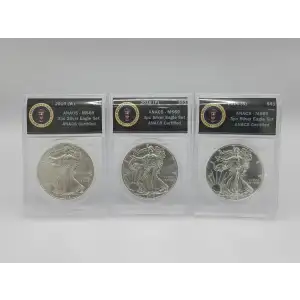 2016(W)(P)(S) American Silver Eagle ANACS MS69 3Slab Set Presidential Seal Label (5)