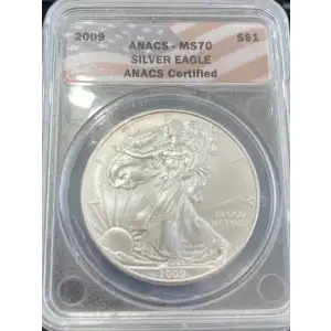 Silver Eagle (2)